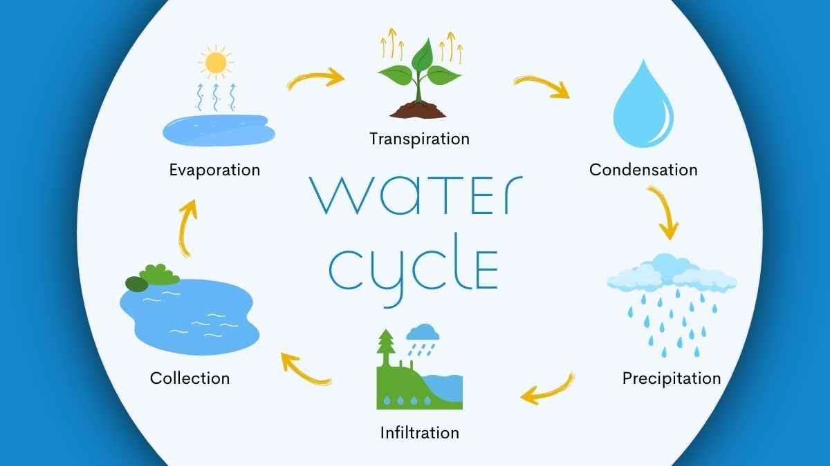 Cute Illustrated Water Cycle Slides - diapositiva 6