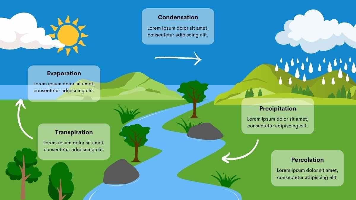 Cute Illustrated Water Cycle Slides - diapositiva 9