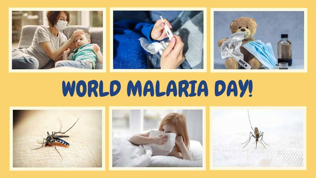 Cute Illustrated World Malaria Day Slides - slide 13