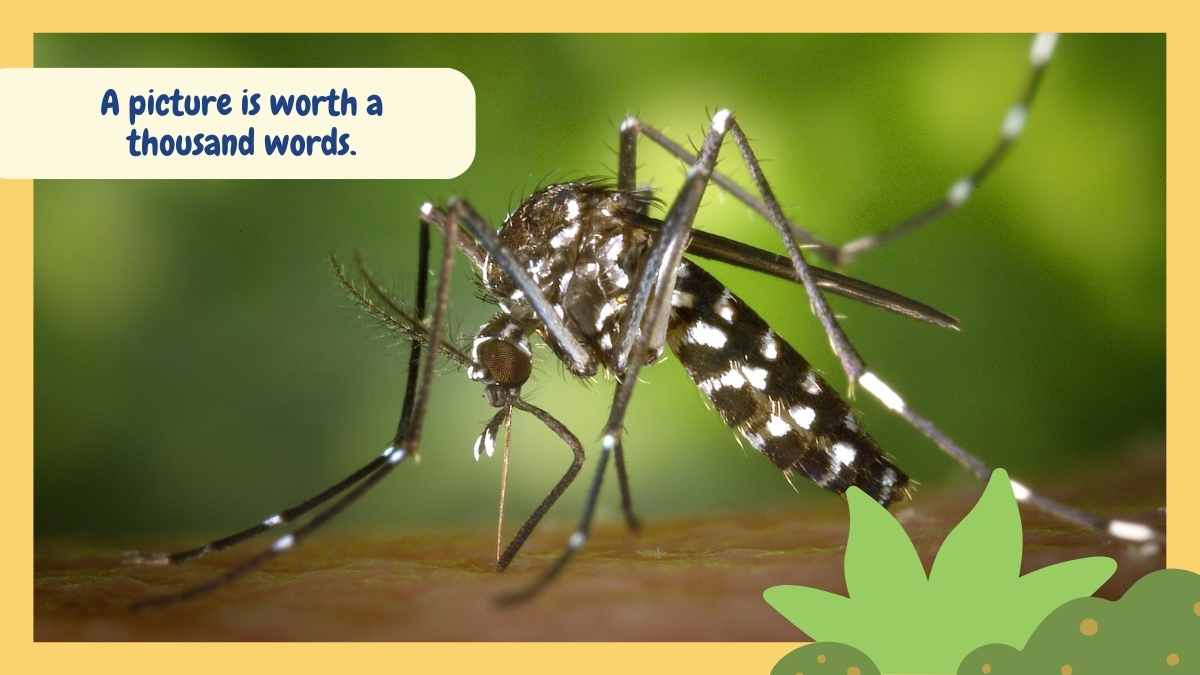 Cute Illustrated World Malaria Day Slides - slide 9