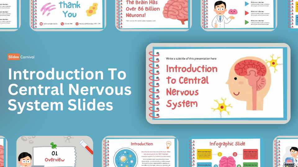 Cute Introduction To Central Nervous System Slides - slide 1