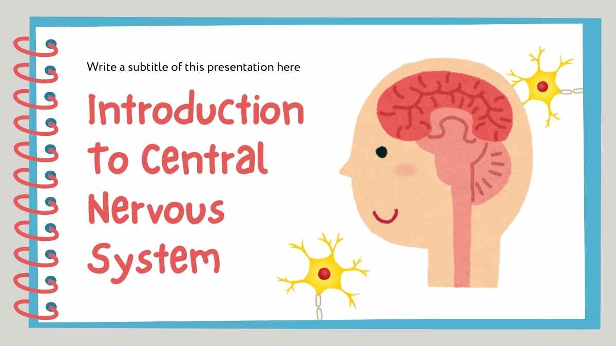 Cute Introduction To Central Nervous System Slides - slide 2