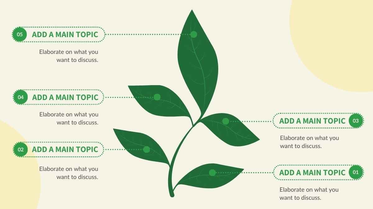 Cute Leaf Growth Process Diagram - slide 2