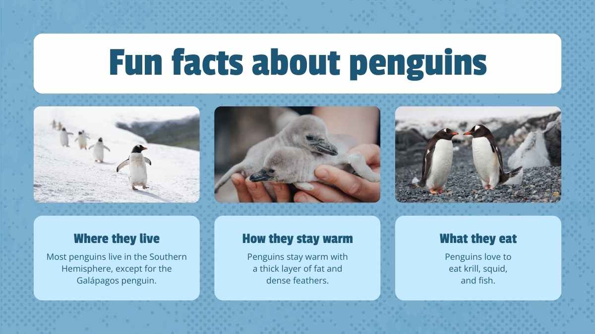 Cute Life Cycle of Penguin Lesson Slides - slide 4