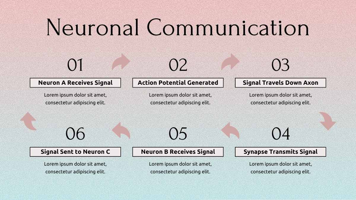 Cute Modern Physiology of Nervous System Slides - slide 5