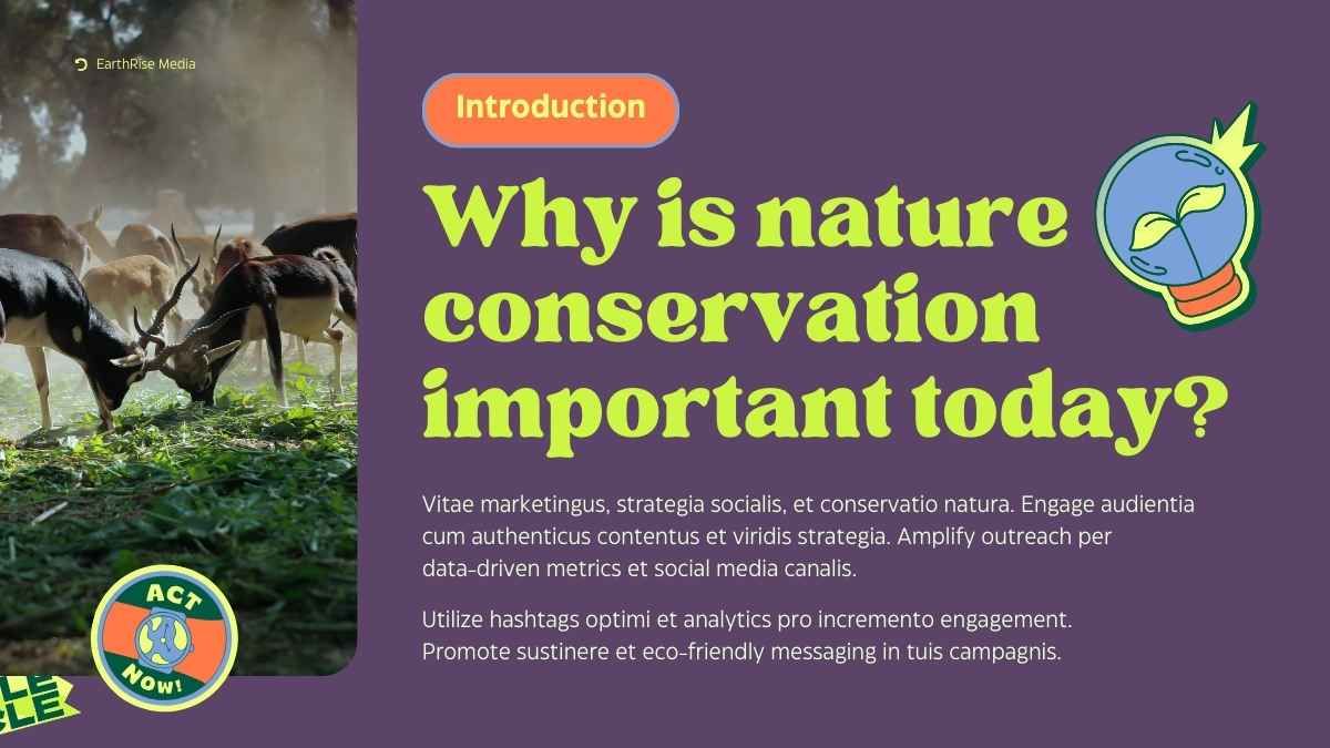 Cute Nature Conservation Social Media Strategy - slide 4