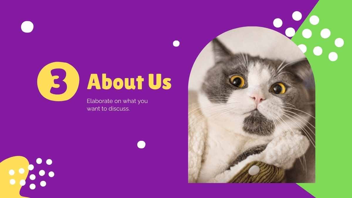 Cute Pet Insurance Company Profile - slide 12