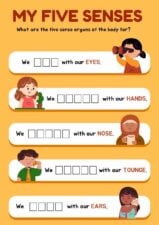 Cute The Five Senses Worksheet