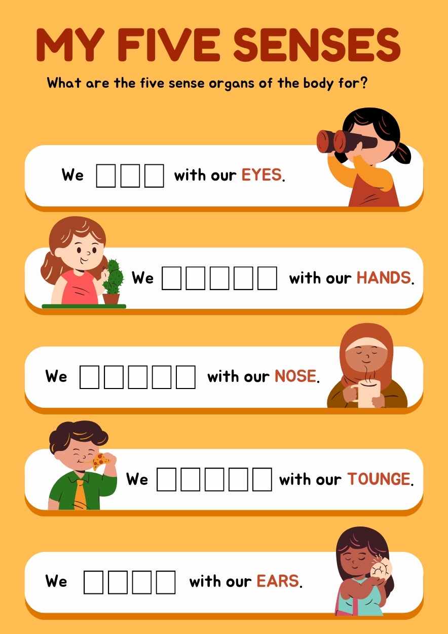 Cute The Five Senses Worksheet - slide 1