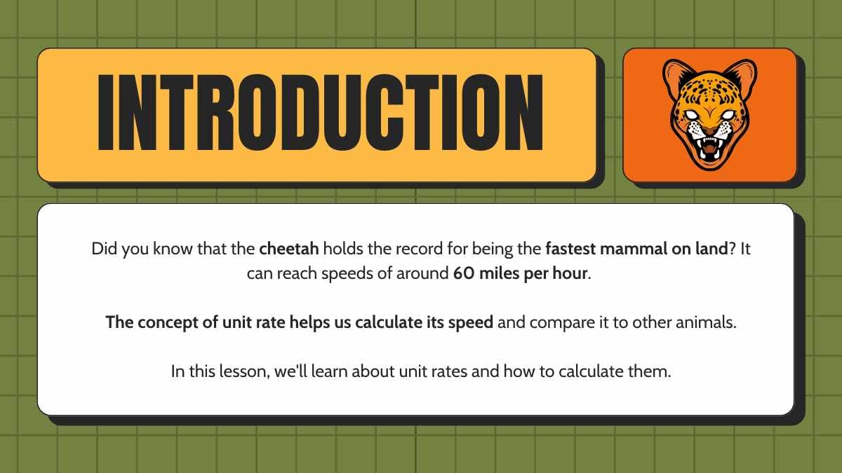 Cute Unit Rates and Proportional Relationships Lesson for High School - slide 3