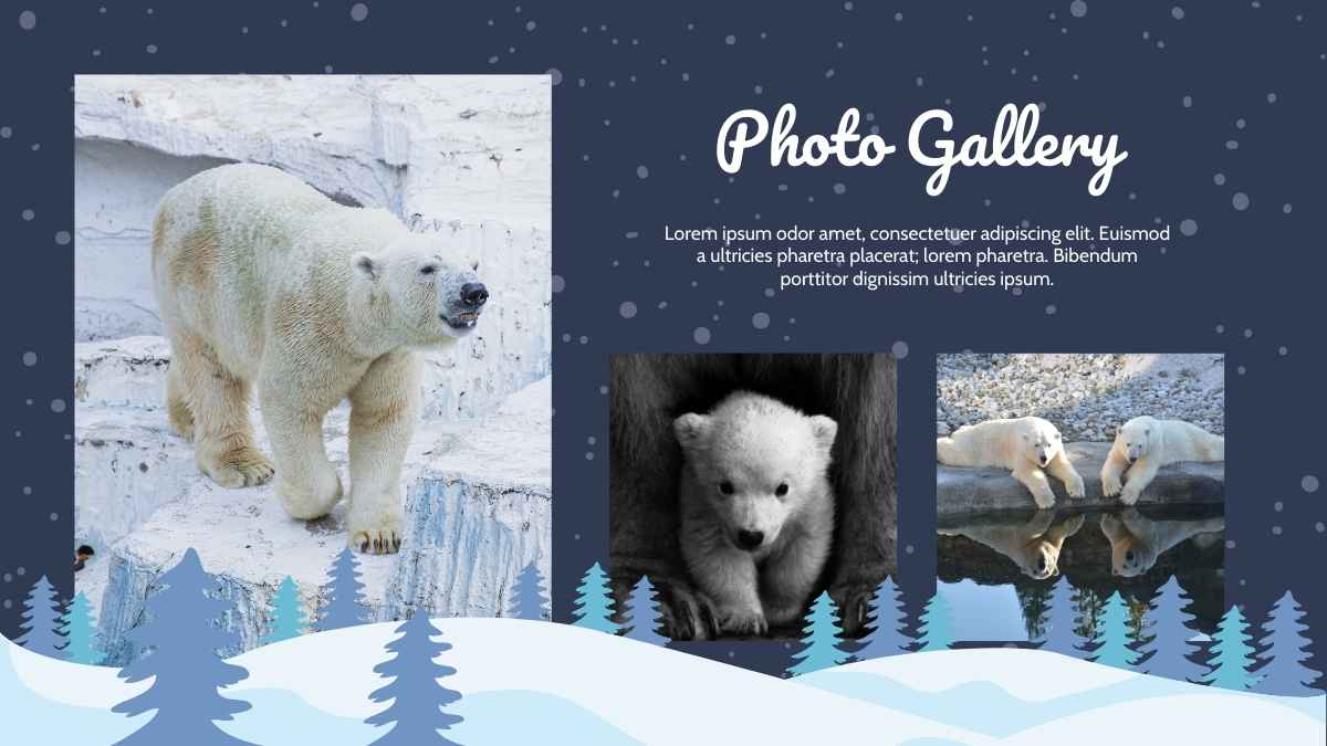 Cute Winter Polar Bear Background Slides - slide 12