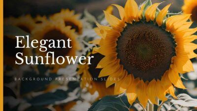 Elegant Sunflower Background Slides