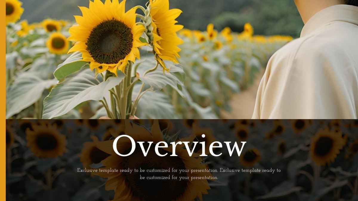 Elegant Sunflower Background Slides - slide 3