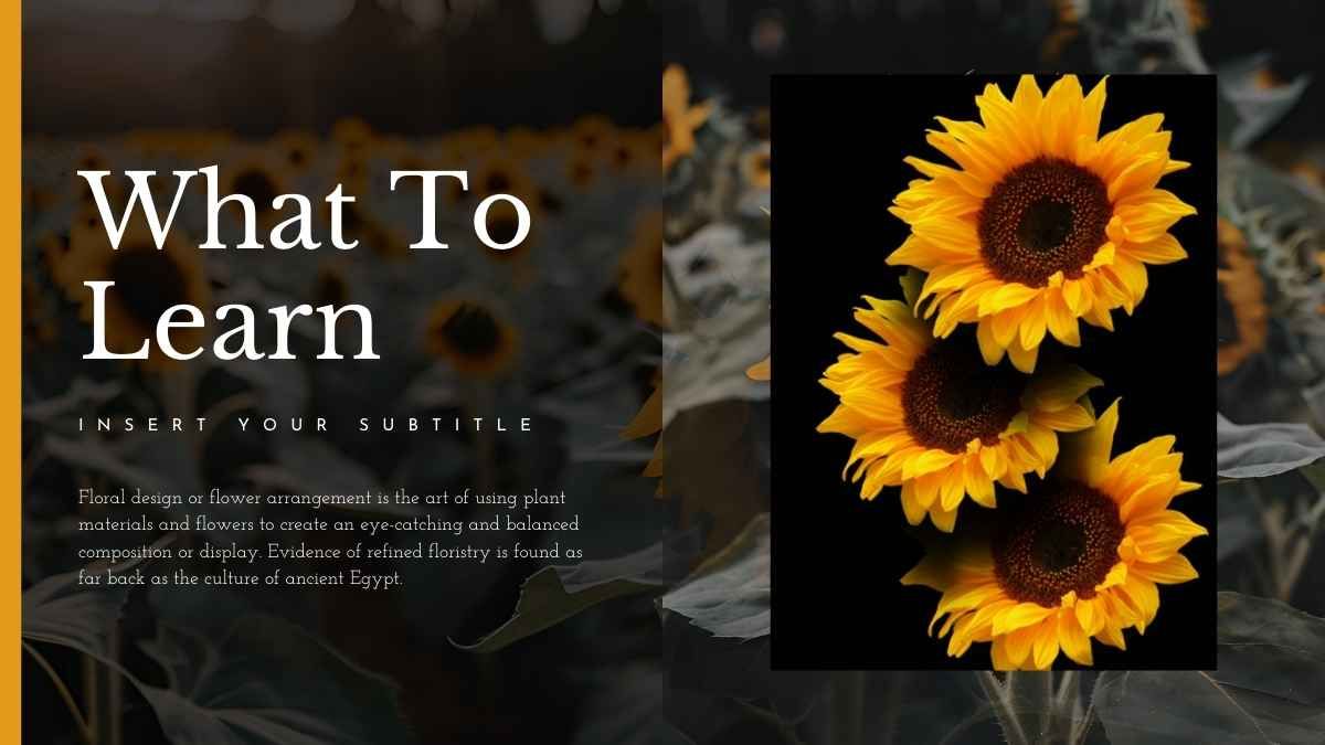 Elegant Sunflower Background Slides - slide 5