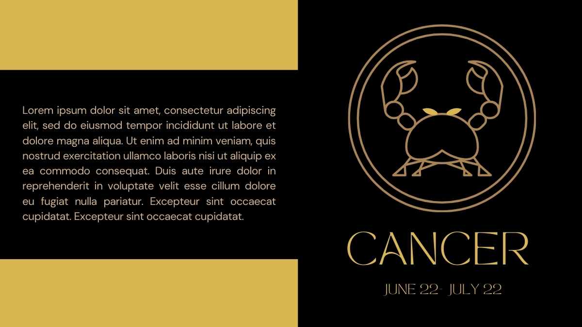 Elegant Zodiac Signs Case Study Slides - slide 10