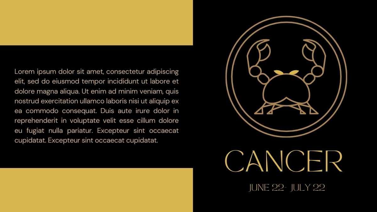 Estudo de caso da Elegant Zodiac Signs - slide 10