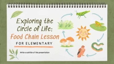 Exploring the Circle of Life: Food Chain Science Lesson for Elementary