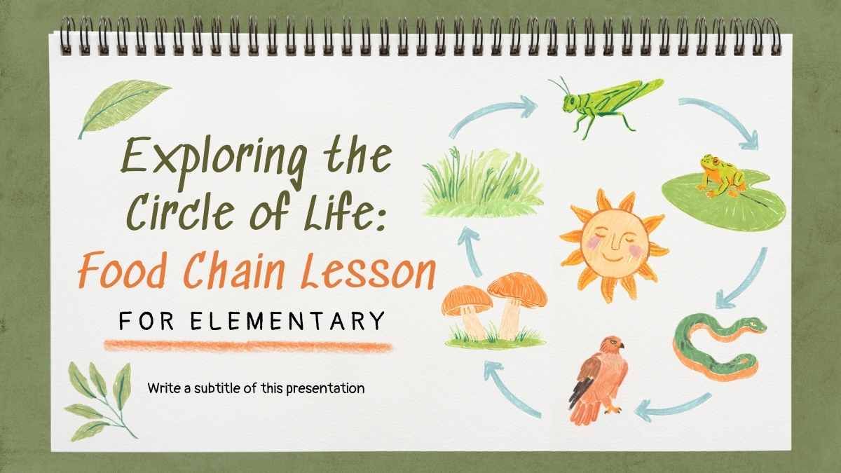 Exploring the Circle of Life: Food Chain Science Lesson for Elementary - diapositiva 1