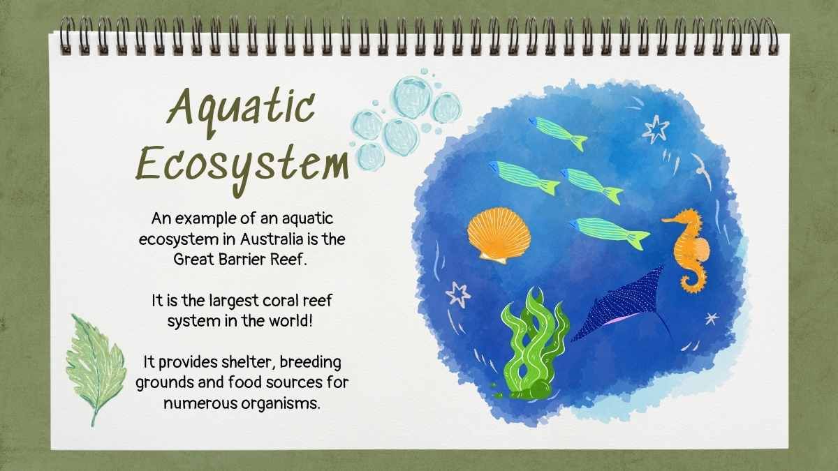 Exploring the Circle of Life: Food Chain Science Lesson for Elementary - diapositiva 11