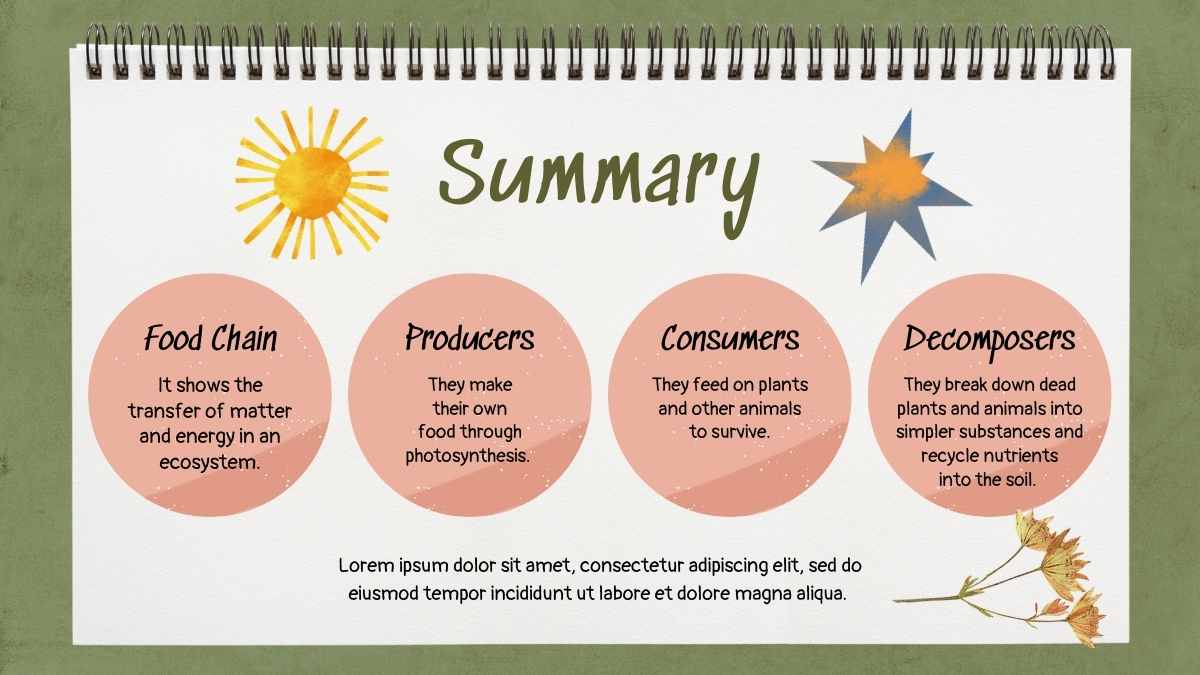 Exploring the Circle of Life: Food Chain Science Lesson for Elementary - slide 13