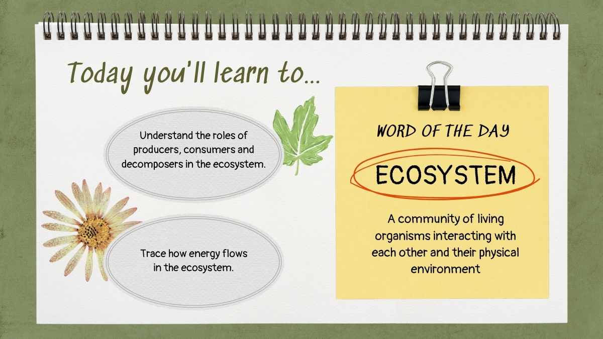 Exploring the Circle of Life: Food Chain Science Lesson for Elementary - slide 4