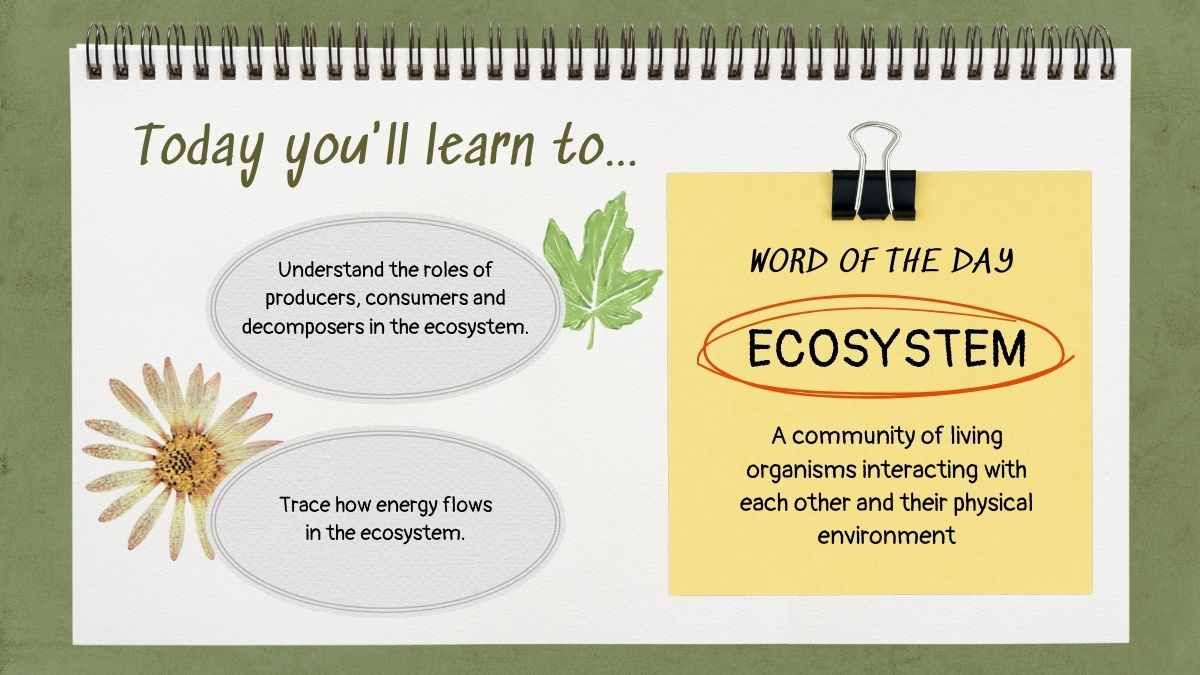 Exploring the Circle of Life: Food Chain Science Lesson for Elementary - diapositiva 4