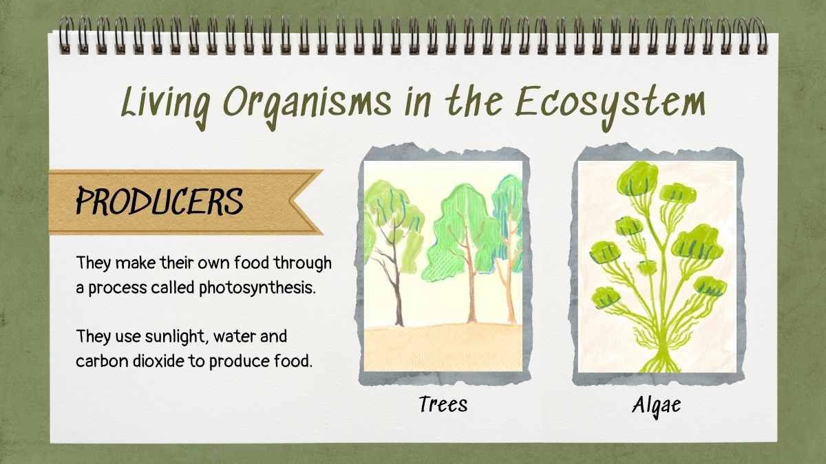 Exploring the Circle of Life: Food Chain Science Lesson for Elementary - diapositiva 5