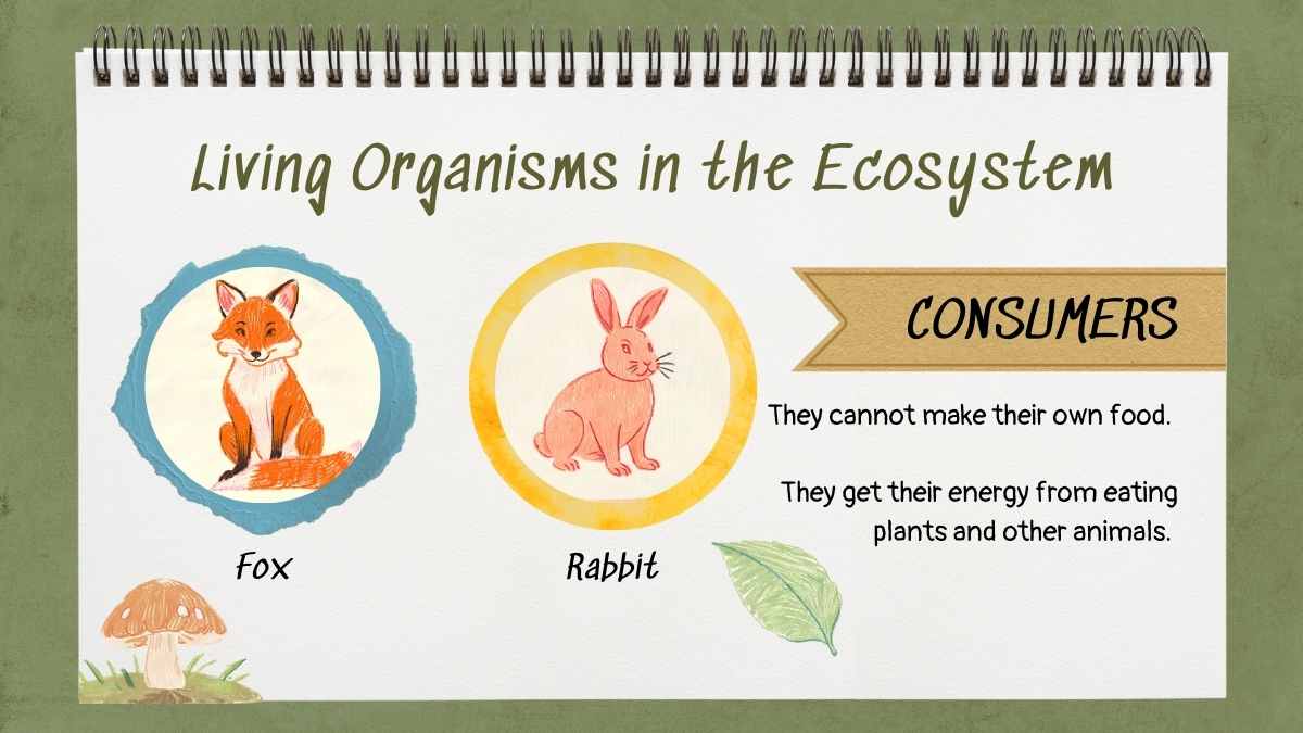 Exploring the Circle of Life: Food Chain Science Lesson for Elementary - slide 6