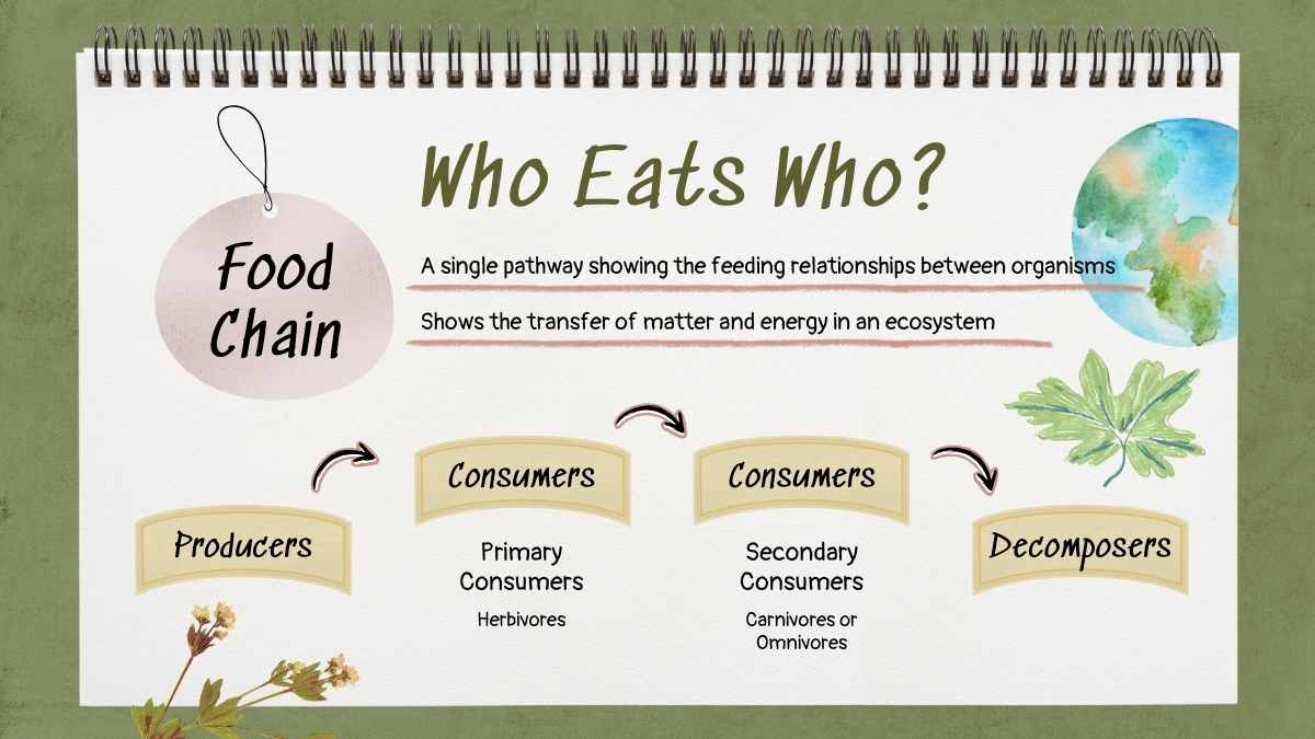 Exploring the Circle of Life: Food Chain Science Lesson for Elementary - slide 8