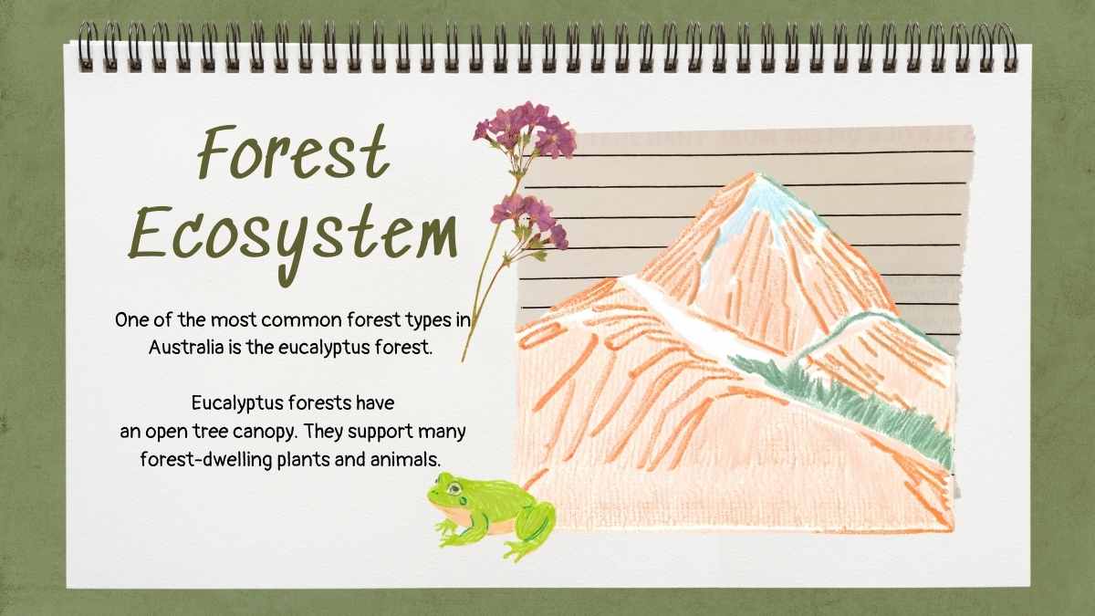 Exploring the Circle of Life: Food Chain Science Lesson for Elementary - slide 9