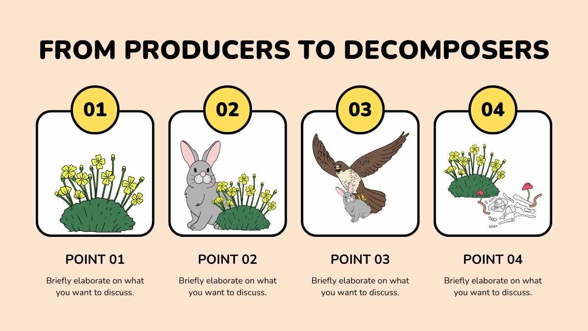 Food Webs Lesson for Elementary - slide 10