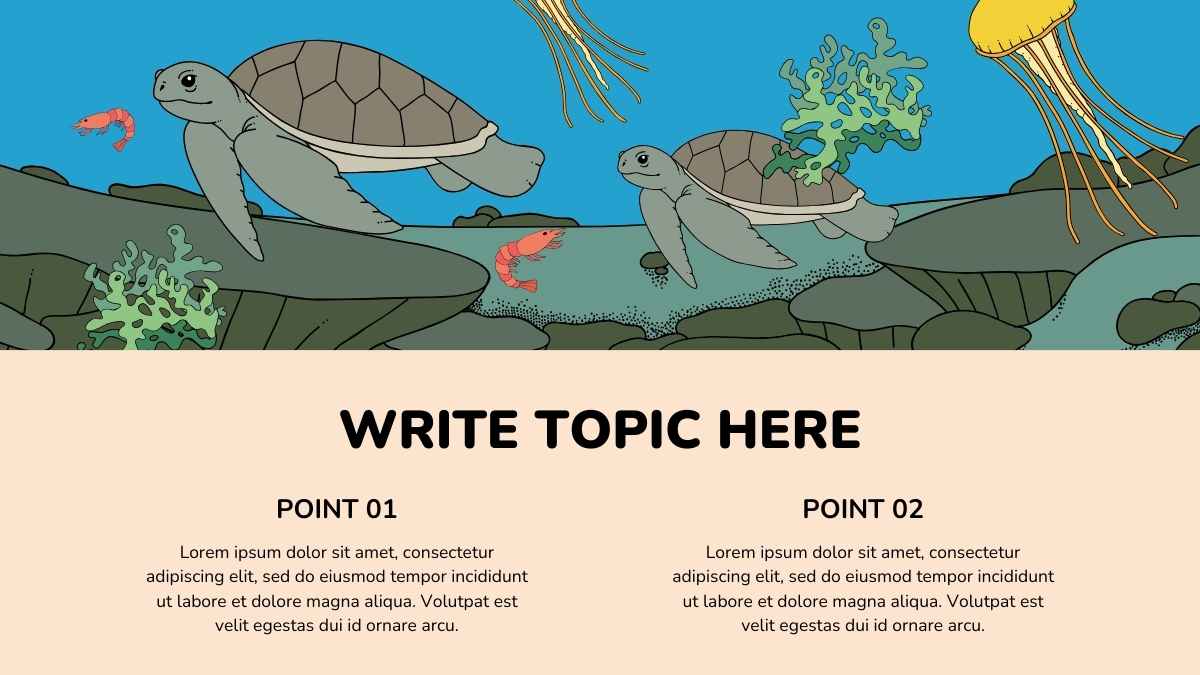 Food Webs Lesson for Elementary - slide 12