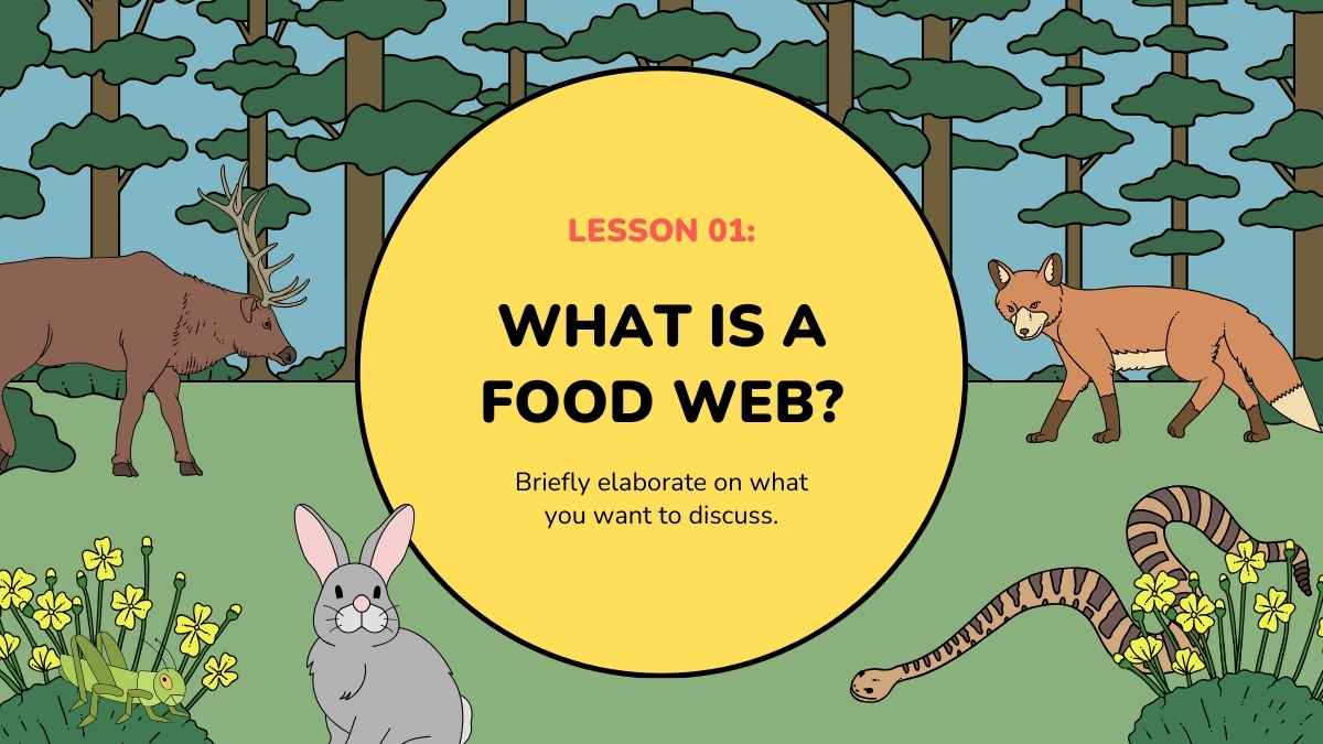 Food Webs Lesson for Elementary - slide 7