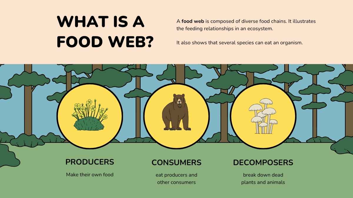 Food Webs Lesson for Elementary - slide 8