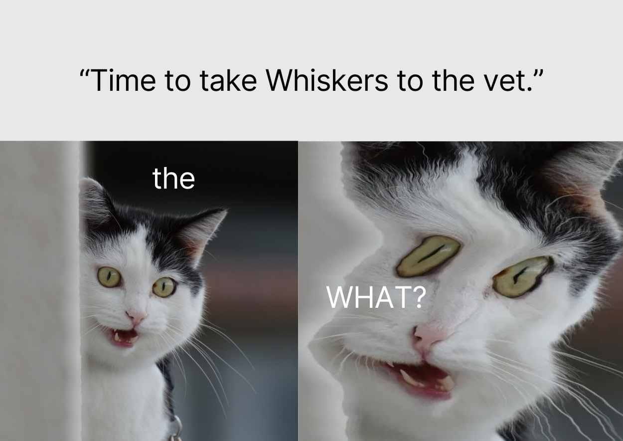 Funny Cat Meme Slides - slide 1