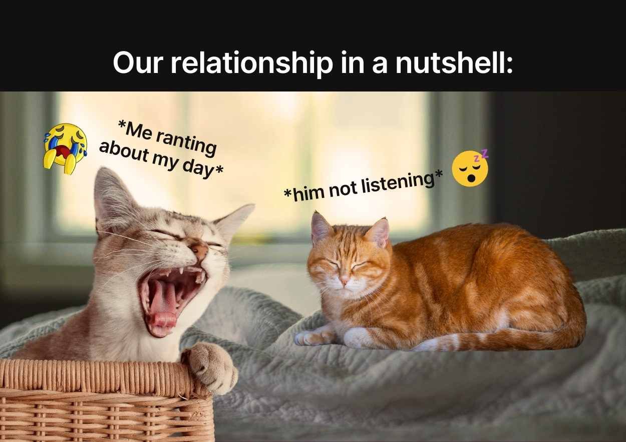 Funny Cat Meme Slides - slide 10