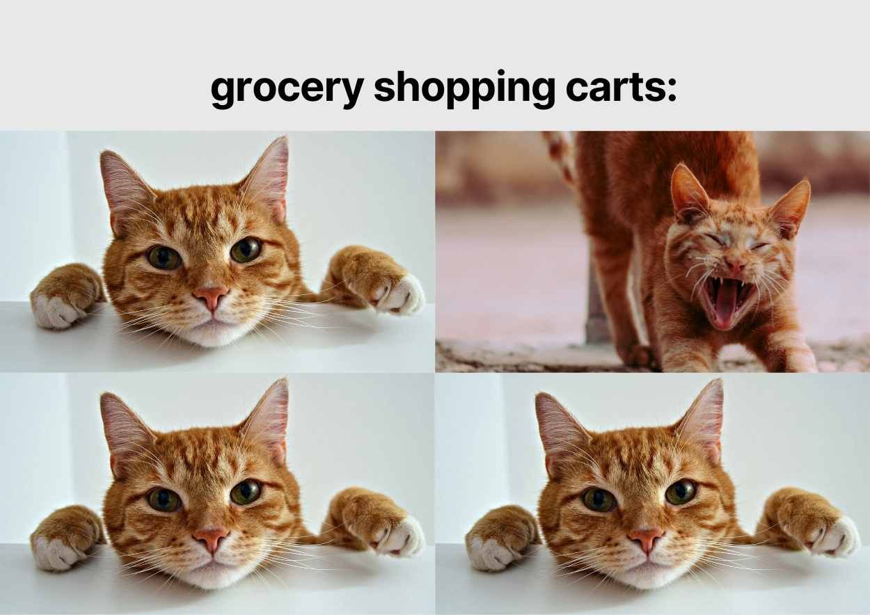 Funny Cat Meme Slides - slide 11