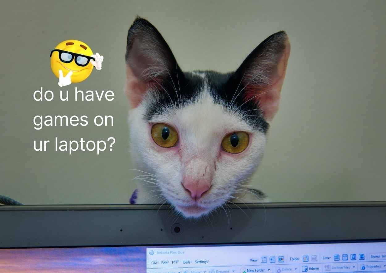 Funny Cat Meme Slides - slide 3