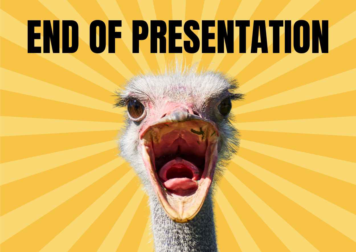 Funny End of Presentation Meme - slide 2