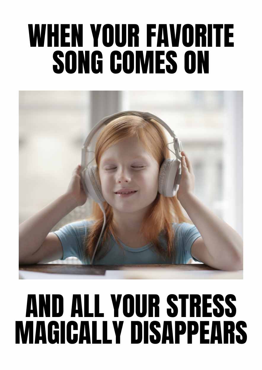 Funny Music Meme - slide 2