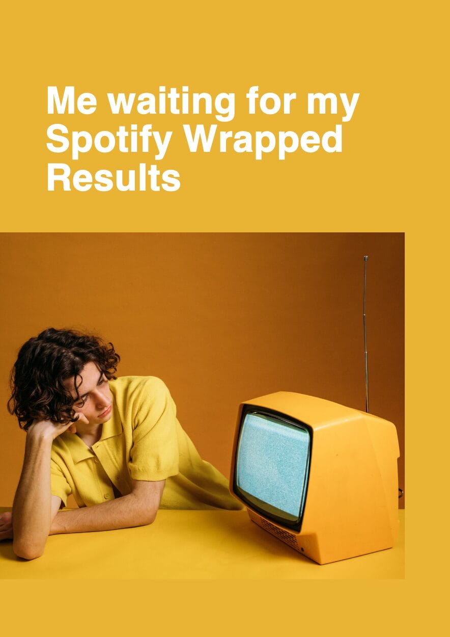 Funny Spotify Wrapped Meme Slides - slide 3