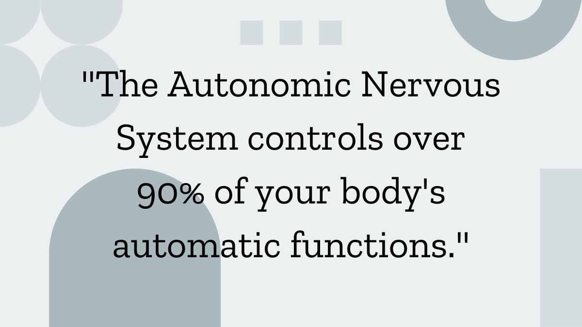 Geometric Nervous System Lesson - slide 11