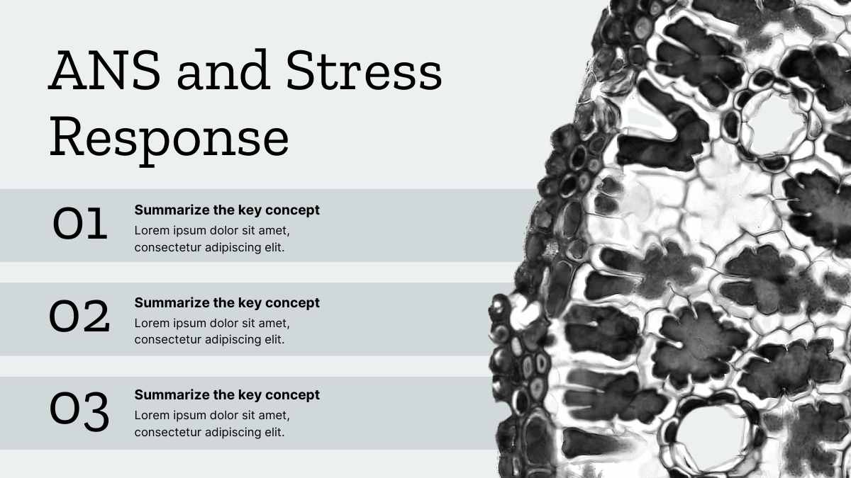 Geometric Nervous System Lesson - slide 15