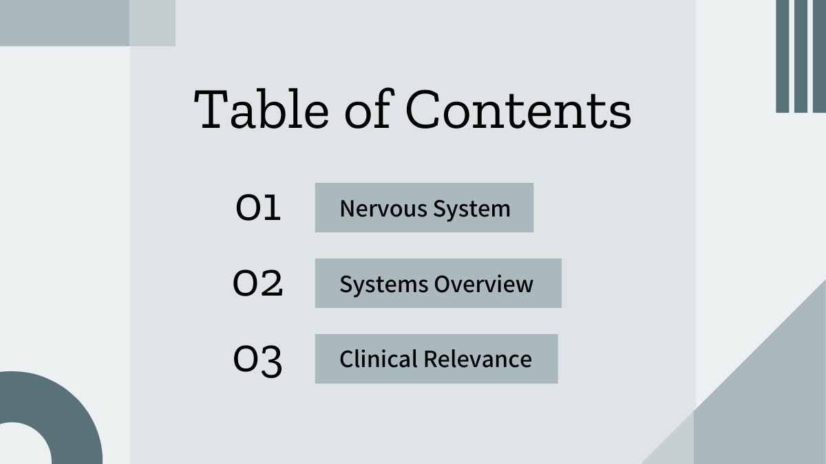 Geometric Nervous System Lesson - slide 3