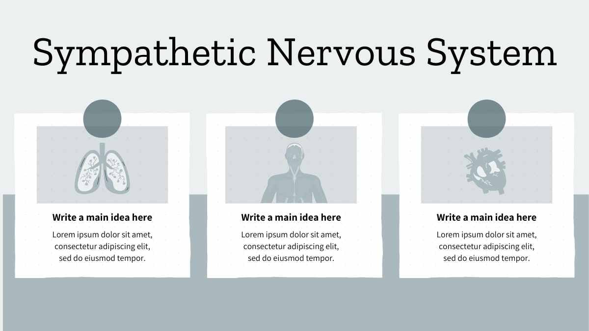 Geometric Nervous System Lesson - slide 6