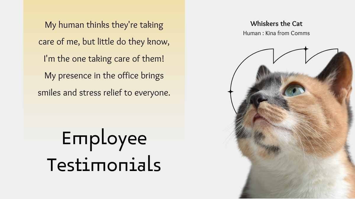 Gradient Minimal Company Pet Friendly Policies Slides - slide 11