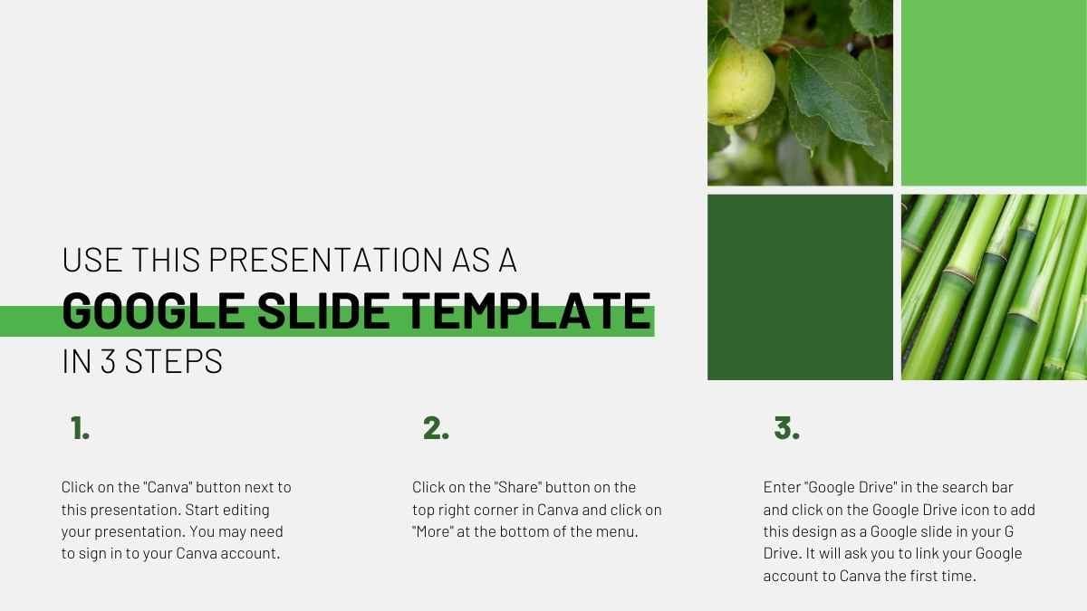 Modern Organic Food Pitch Deck - slide 4