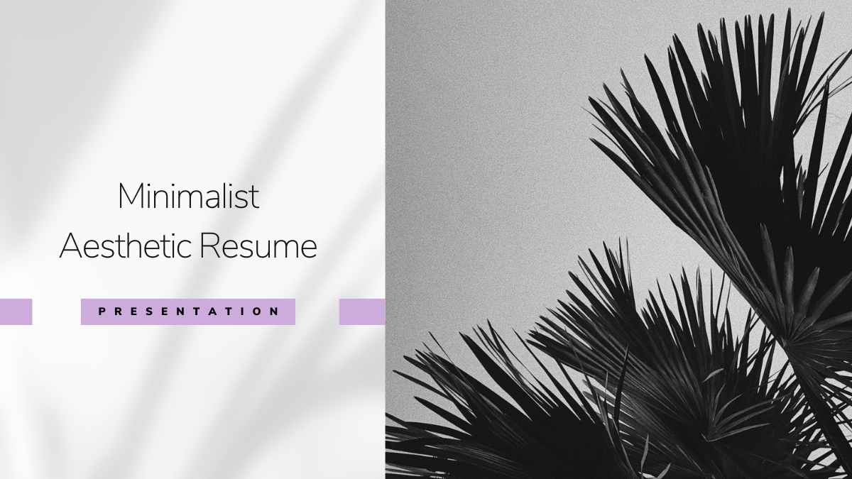 Grey Minimalist Aesthetic Resume Slides - slide 1