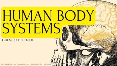 Human Body Systems Yellow Lesson Slides