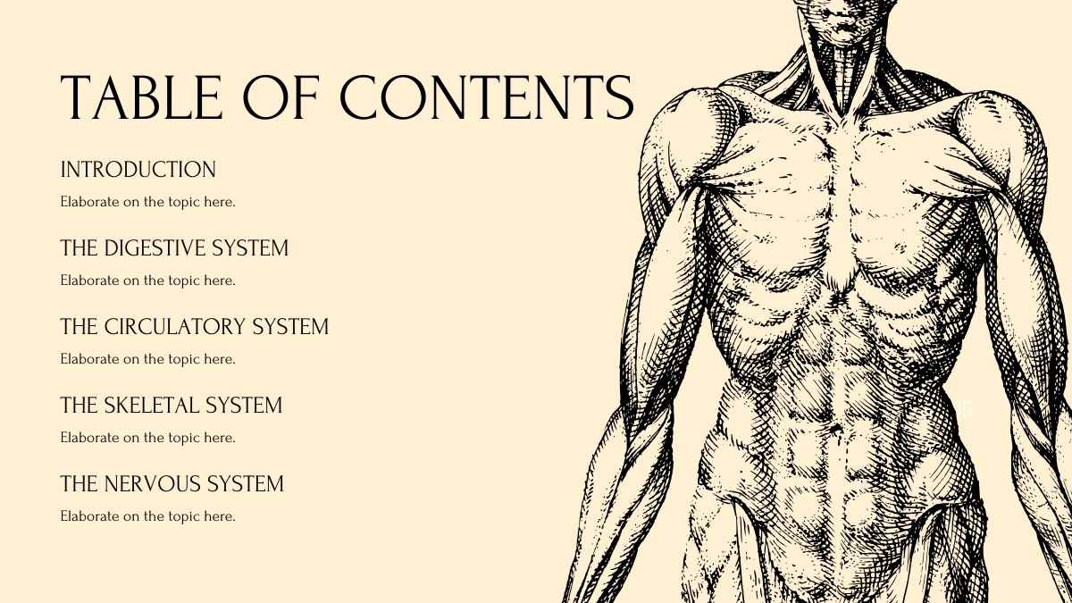 Human Body Systems Yellow Lesson Slides - slide 3